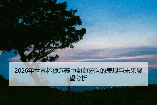 nian-shi-jie-bei-yu-xuan-sai-zhong-pu-tao-ya-dui-de-biao-xian-yu-wei-lai-zhan-wang-fen-xi-2-339.jpg