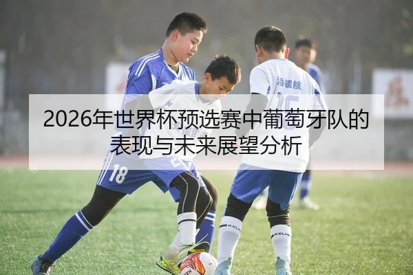 2026年世界杯预选赛中葡萄牙队的表现与未来展望分析