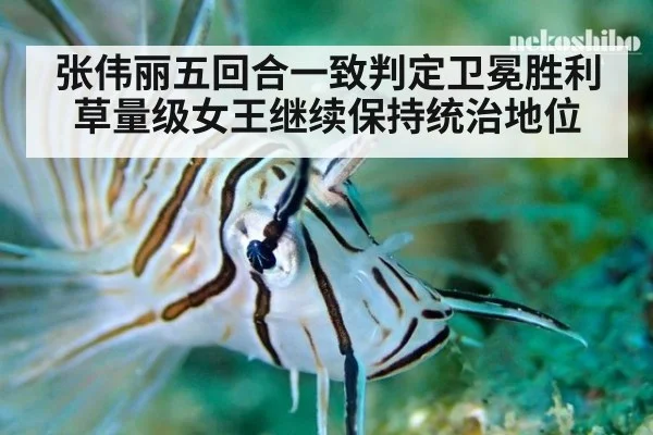张伟丽五回合一致判定卫冕胜利 草量级女王继续保持统治地位