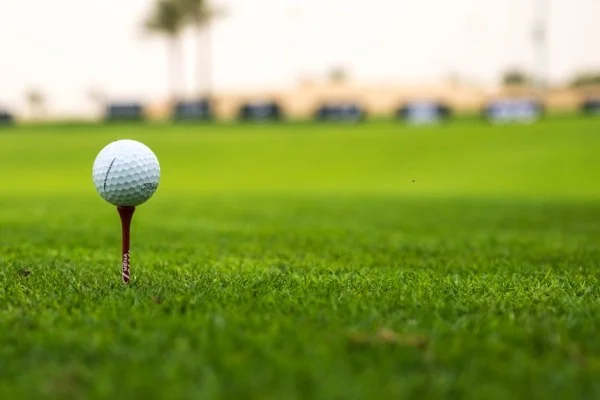 内莉科达领衔LPGA赛季收官 女子世界第一争夺进入白热化阶段